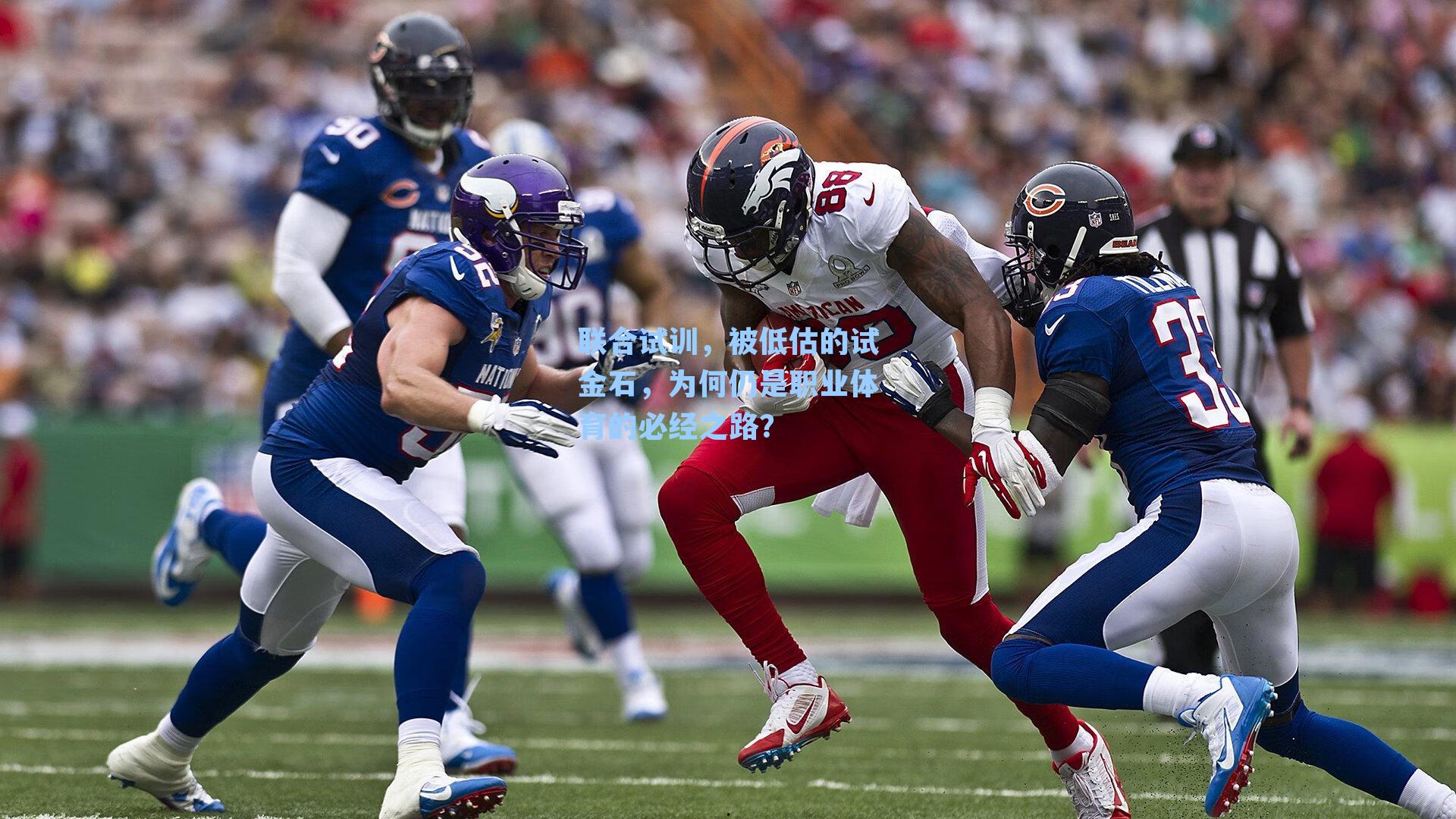 联合试训，被低估的试金石，为何仍是职业体育的必经之路？